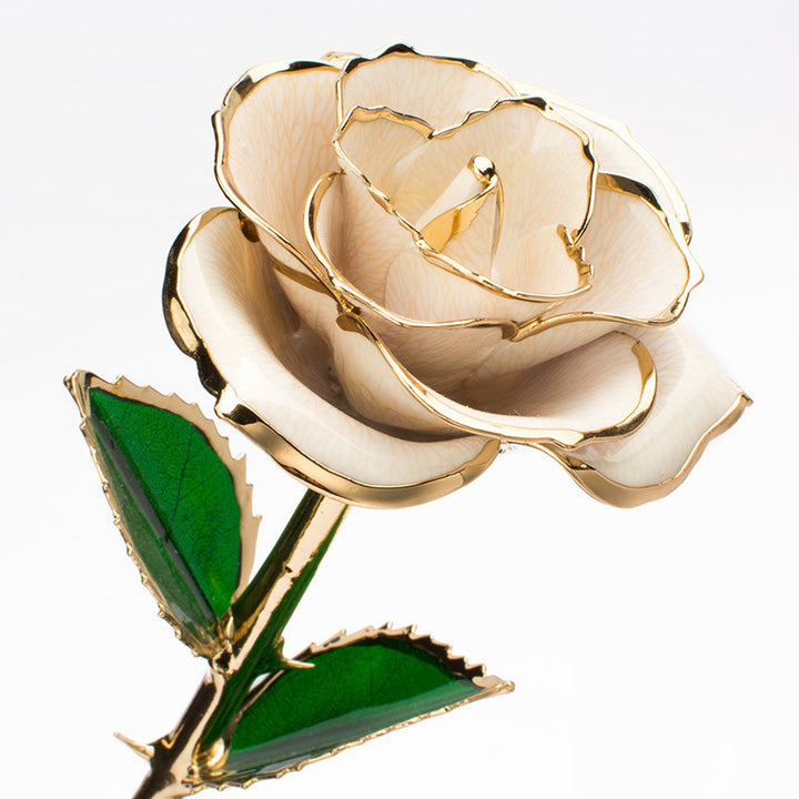 24K Gold-plated Rose Flower